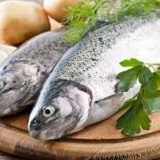 Fisch Fettgehalt Tabelle Simfisch De Angeln Und Outdoor