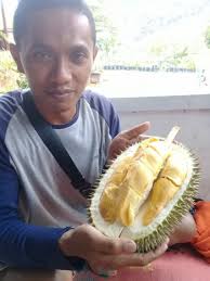 Menikmati Durian Perwira, Durian Khas dari Majalengka Halaman 2