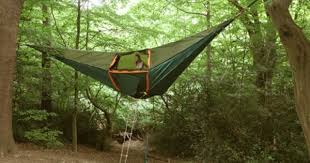 A Tent Suspended From The Trees Hanging Tent Hammock Tent Tree Tent