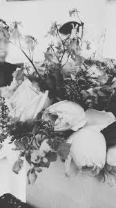 We have an extensive collection of amazing background images carefully chosen by our community. Black And White Iphone Images Pixelstalk Net