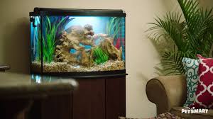 Marineland 10 Gallon Biowheel Led Aquarium Kit Fish Starter Kits Petsmart