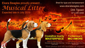 Whether you opt for a hawaiian, chinese, or gaelic name, your little warrior will love living up to her. Girl Dog Names That Start With Ch