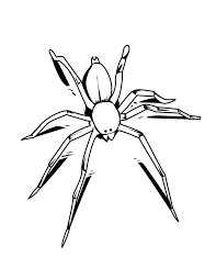Free Spider Coloring Pages In 2020 Spider Coloring Page Insect Coloring Pages Coloring Pages