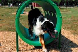 Check spelling or type a new query. Commercial Dog Park Equipment Adventure Playground Systems