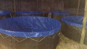Distributor Kolam Terpal Bulat Pet Supplies Kediri East Java 92 Photos Facebook