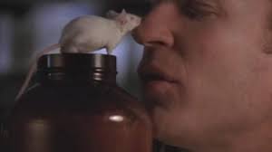 With more than five million copies sold, flowers for algernon is the beloved, classic story of a mentally disabled man whose experimental quest for intelligence mirrors that of algernon, an extraordinary lab mouse. Review Flowers For Algernon Books Writing Amino