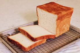 Image result for Dinebra caudata