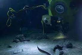 Check spelling or type a new query. Kehidupan Ekstrem Ditemukan Di Palung Laut Terdalam