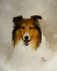 Original Oil Painting Of A Rough Collie Dog By By Johnspaintings 45 00 Dog Paintings Dog Art Rough Collie