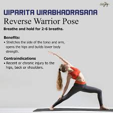 Pin By Valquiria Soares On Yoga Yoga Asanas Yoga Moves Stage Yoga