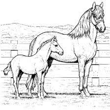 The moods of the horses in these coloring pages may range from being funny and jovial to grand and contemplative. Realistic Horse Coloring Pages Mom And Baby Coloring4free Coloring4free Com