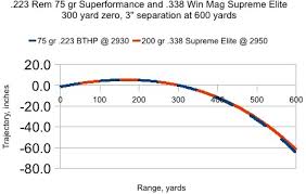 Paired Rifles Shooters Notes