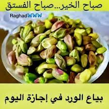 desertrose صباح الفستق morning greeting morning morning morning images