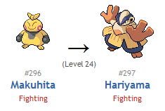 Fighting Pokemon