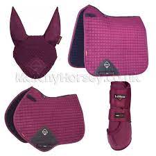 Lemieux Plum Matching Set Matchy Horsey Equestrian Outfits Equestrian Helmet Equestrian Boots