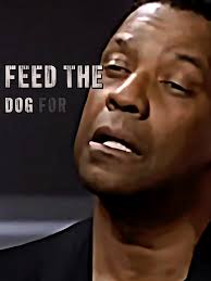 Denzel Washington Bisexual Dog