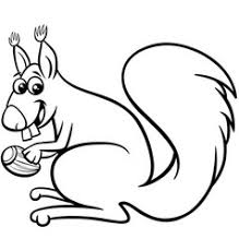 Red squirrel coloring page, hd png download. Squirrel Vector Images Over 15 000