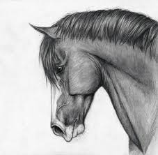 Le cheval saute naturellement les obstacles qui se présentent à lui, et effectue parfois des sauts sur place77. Dessin Cheval Realiste Facile Dessin Facile