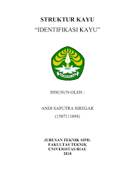 Sebagai bahan bakar, biomassa perlu dilakukan pengolahan terlebih dahulu agar dapat lebih mudah dipergunakan yang dikenal sebagai konversi biomassa. Tugas Kayu Andi