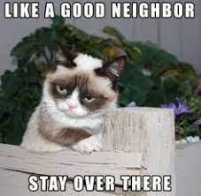 27 very funny grumpy cat meme images, gifs, joke & photos | picsmine. Grumpy Cat Memes Funny Clean Grumpy Cat