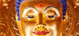 Why are Buddha's eyes half open?
