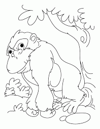 For some upgrades and latest news about (8+ best gorilla coloring pages) photos, please kindly follow us on tweets, path, instagram and google plus, or you mark this page on bookmark area, we attempt to offer you update periodically with all new and fresh shots, love your surfing, and find the perfect for you. Gorilla Coloring Page Coloring Home