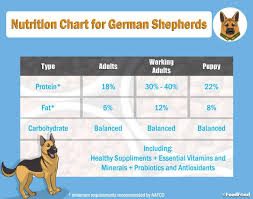 German Shepherd Food Chart Goldenacresdogs Com