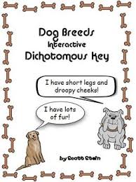 Dog Breeds Interactive Game Dichotomous Key Powerpoint Dichotomous Key Life Science Middle School Interactive Science Notebook