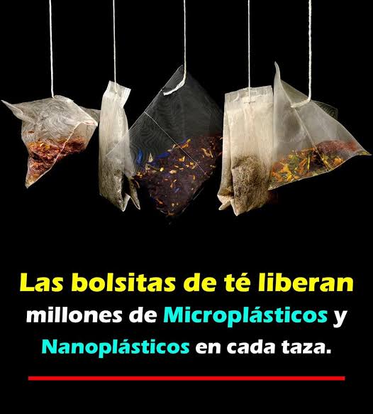 🫖☠️ ¿Sabías que las bolsas de té pueden liberar microplásticos? Muchas de  ellas están hechas con plásticos que, al entrar en contacto con agua  caliente, liberan micro y nanoplásticos que podrían afect