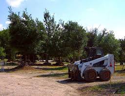 135 likes · 20 were here. Fuller Tree Nursery 1300 California Crossing Rd Dallas Tx 75220 Usa