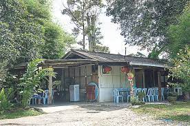 See more ideas about chickens, farm, chickens backyard. Uncle Rani Chicken Farm Where Happy Chickens Live And Change The Way We Think About Food Life Malay Mail