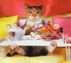 Https Encrypted Tbn0 Gstatic Com Images Q Tbn And9gct7pcg Bqke4gu65s1idz8hsphw8r9w8g4gdg Usqp Cau