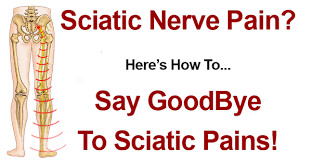 Sciatica: Low back and Leg Pain Diagnosis and Treatment Options Images?q=tbn:ANd9GcT3-pp6Svdx38tORoO8glRcu54WODDrBLRzLKrketO3OMia9BuD