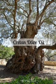 Cretan Olive Oil Produced In Kolymbari By Biolea Crete Cretan Olive Oil