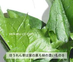 おいしいほうれん草の見分け方 選び方 生活知恵袋