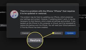 Enter the password for your apple id and click sign in. How To Unlock An Iphone Without Siri