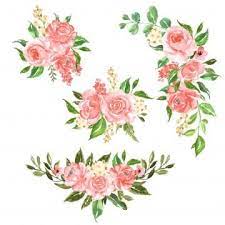 Set Of Beautiful Rose Pink Watercolor Flower Arrangement Watercolor Floral Rose Png And Vector With Transparent Background For Free Download In 2020 Pink Flowers Background Pink Watercolor Flower Pink Watercolor