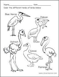 The free printable birds coloring pages for kids in this book are hummingbird, bat, swans, penguins, flamingos, … Kinds Of Brids Children Coloring Pages Animal Classification Awana Puggles Kinds Of Birds
