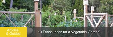 Additional packaging and handling charges may be required. 10 Fence Ideas For A Vegetable Garden Fence Guides