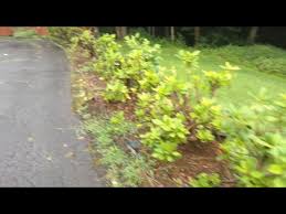 Get reviews, hours, directions, coupons and more for hidden creek contractor at 6301 nc 261, bakersville, nc 28705. Hidden Creek Contractor Facebook