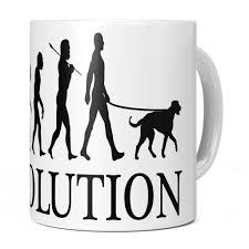 Check spelling or type a new query. Irish Wolfhound Evolution 11oz Novelty Mug Evolution Of Man Mugs Mug Monster