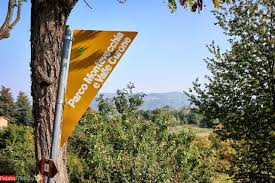 Il Sentiero Dei Proverbi Di Lissolo Nel Parco Del Curone Sentiero Trekking Viaggi