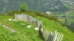Tiroler strasse 138 87459 pfronten deutschland. Gipfelhutte Mit Herz Auf Dem Breitenberg Die Ostlerhutte Im Ostallgau Berge Br De