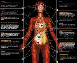 Human Health Effects Of E Waste Itgs Environment Ewaste E Waste Recycling Electronic Waste Recycling Brain Energy