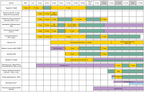 Newborn Baby Vaccination Chart With Price Best Picture Of