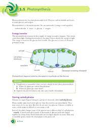 Cambridge Checkpoint Science Coursebook 9 By Cambridge University Press Education Issuu