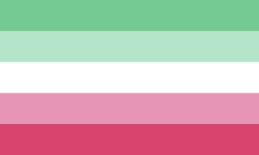 This is not an exhaustive list of all flags. Lgbtq Pride Flags And What They Stand For
