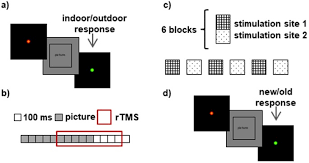 There is a contrasting phenomenon within 'outdoor omd' the (real) outdoors and the simulated outdoors both evoke powerful images which relate to. Adaptability And Reproducibility Of A Memory Disruption Rtms Protocol In The Pharmacog Imi European Project Scientific Reports
