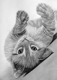 Weer Een Klein Wondertje Volgens Mij Dan Uit De Tekenwereld Kattenkunst Dieren Tekenen Kattenillustraties