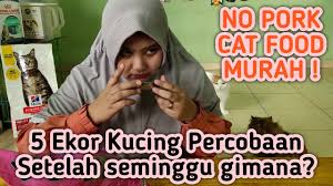 We did not find results for: Review Jujur Makanan Kucing No Pork Tidak Mengandung Babi Tapi Murah Banget Merk Cat Choize Youtube